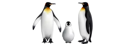 Penguin Family